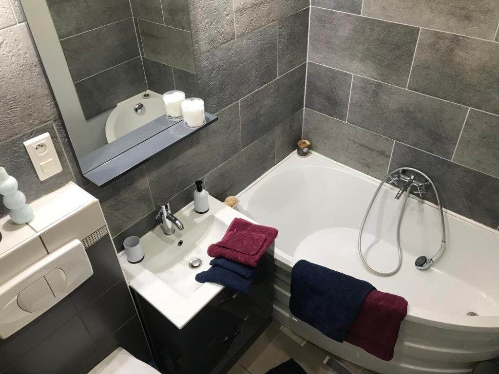 Bel Appartement Lumineux Avec Exterieur Rosieres-aux-Salines 외부 사진